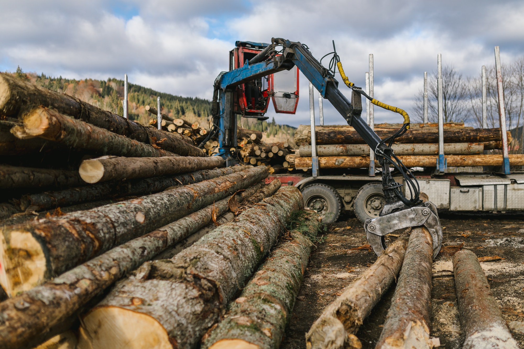 Crane loading wood into wood truck and the wood grapple holding logs